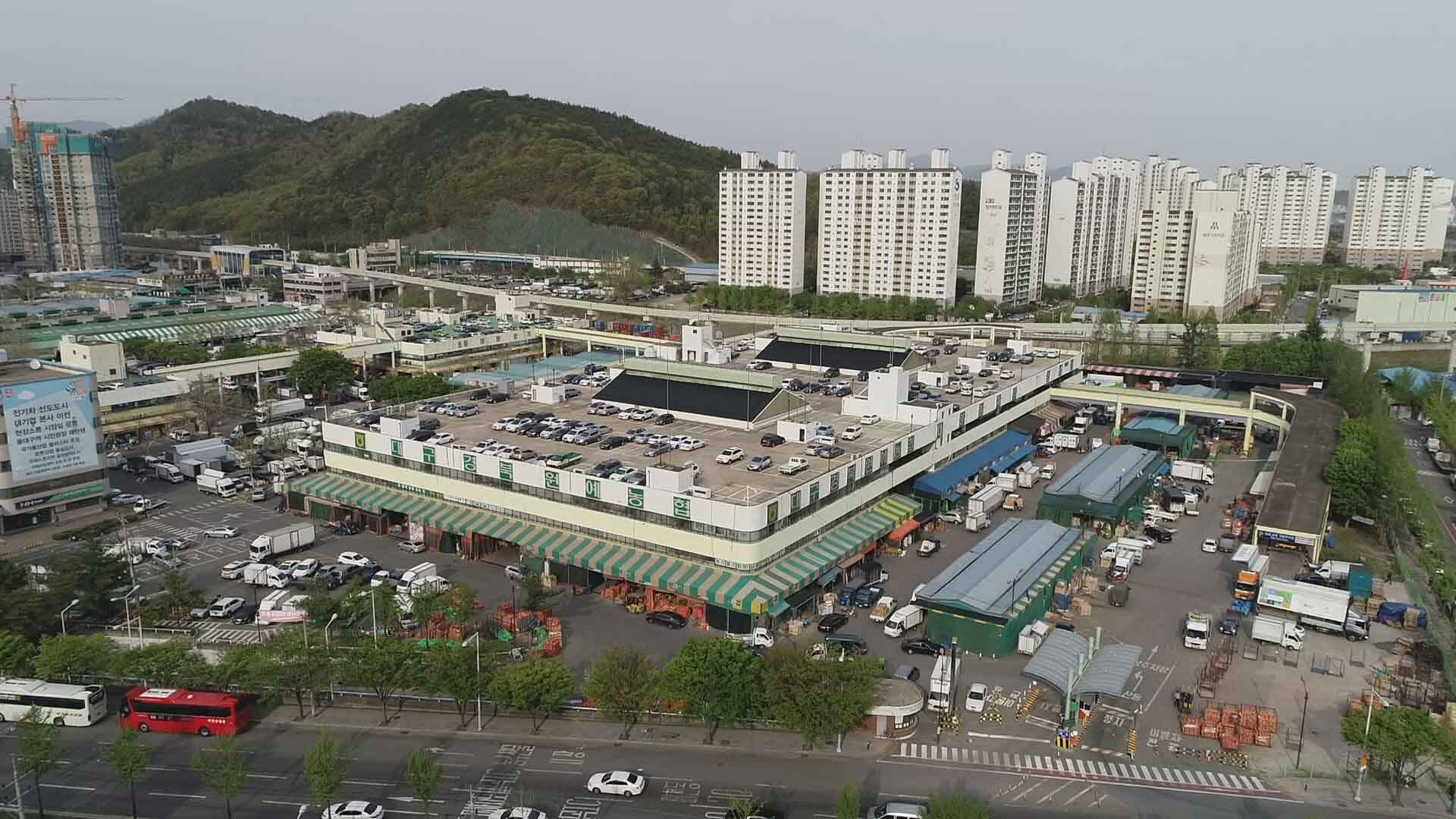 대구에 비수도권 최초로 농수축산물 유통관리공사 출범