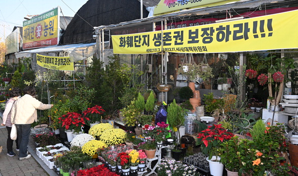 “평생 꽃만 키웠는데…” 산단개발에 석대화훼단지 없어질 판