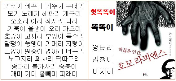 [박기철의 낱말로 푸는 인문생태학]<593> 기 리 이 미 ; 헛똑똑이
