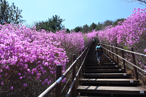 [근교산&그너머] <1327> 경남 창원 무학산