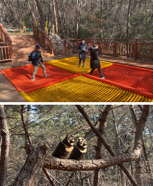 해운대구, 맨발 황톳길 걷고 롤러 슬라이드 타고