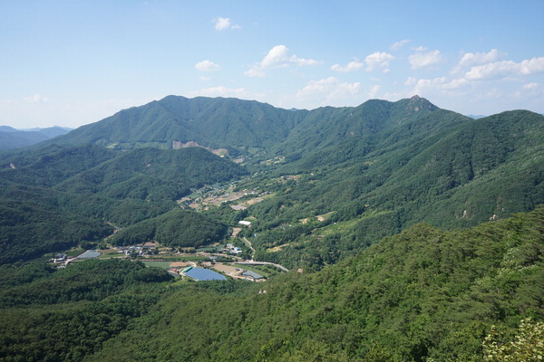 [근교산&그너머] <1388> 경북 문경 도장산