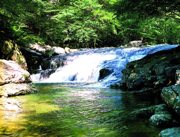 [바캉스 특집-경남 양산시] 절경 배내골 앉아 시린 계곡물 탁족…‘무풍한송로’ 바람산책도 좋아