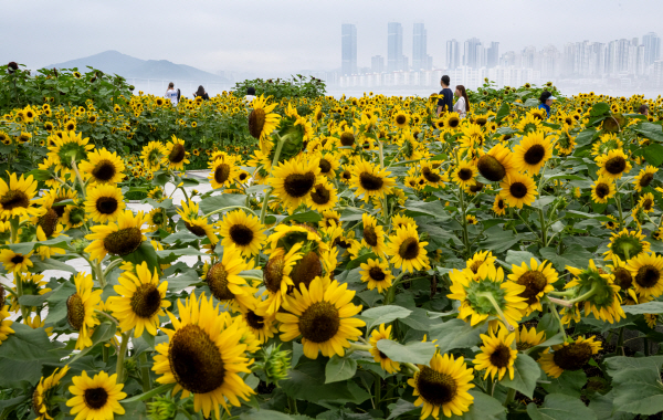 부산·울산·경남, 구름 많고 더움…낮 최고 31~34도