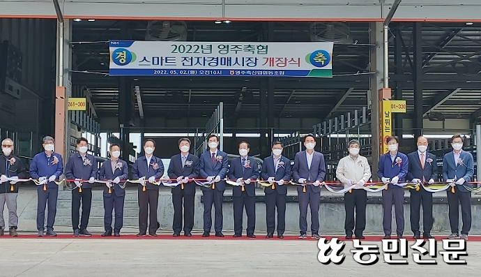 농협경제지주, 영주축협 스마트 전자경매 가축시장 개장