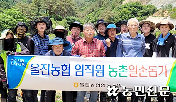 경북 울진농협, 고추농가 찾아 일손 거들어