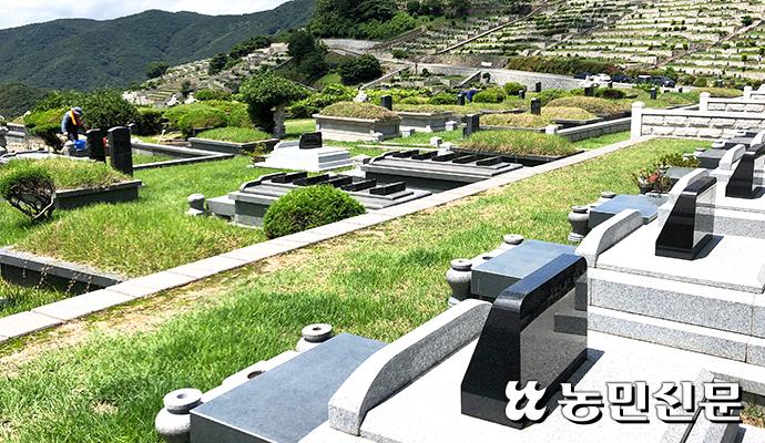 “가짜꽃 사라지니 깔끔”…성묘객 ‘환경보호’ 취지 공감