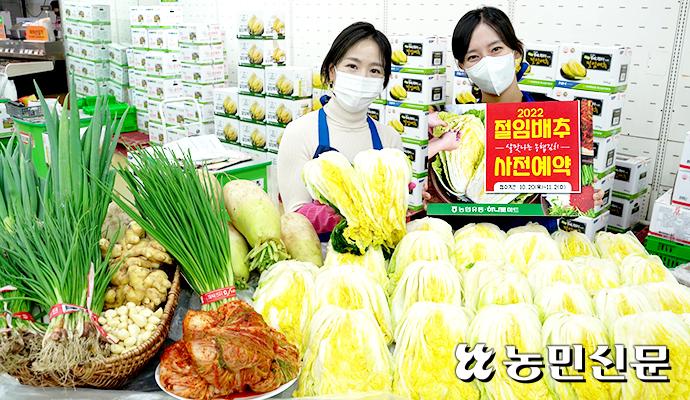 고물가시대 김장 걱정에…날개 돋친 ‘절임배추’