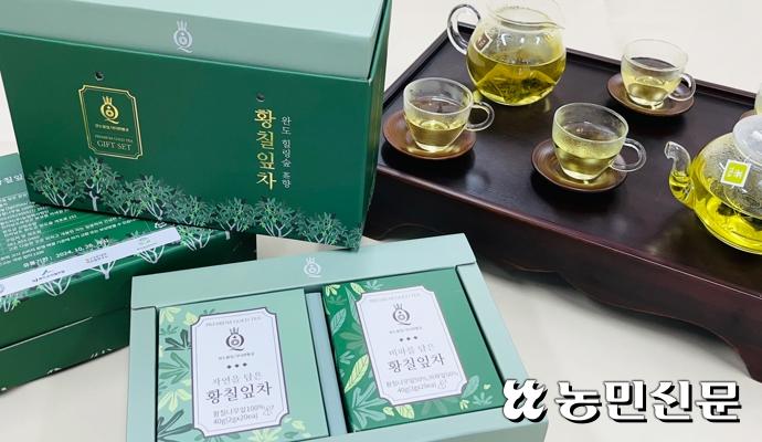 전라남도농업기술원 차산업연구소, 황칠잎차 출시