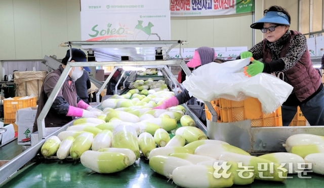 농산물 판매 ‘승승장구’…매출 ‘역대 최대’