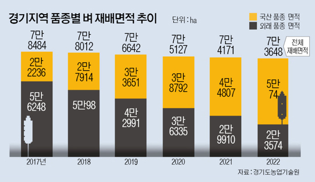 경기 ‘황금들녘’에서 일본품종 사라진다