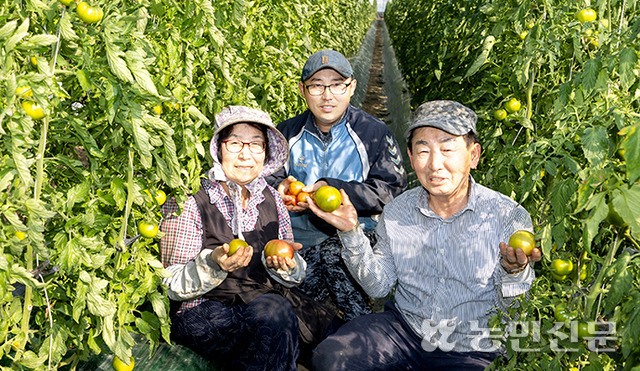[가족농 열전 백년농부] 3대째 가업으로 이어온 농사 ‘명품’ 가족 덕 유명농장 일궈