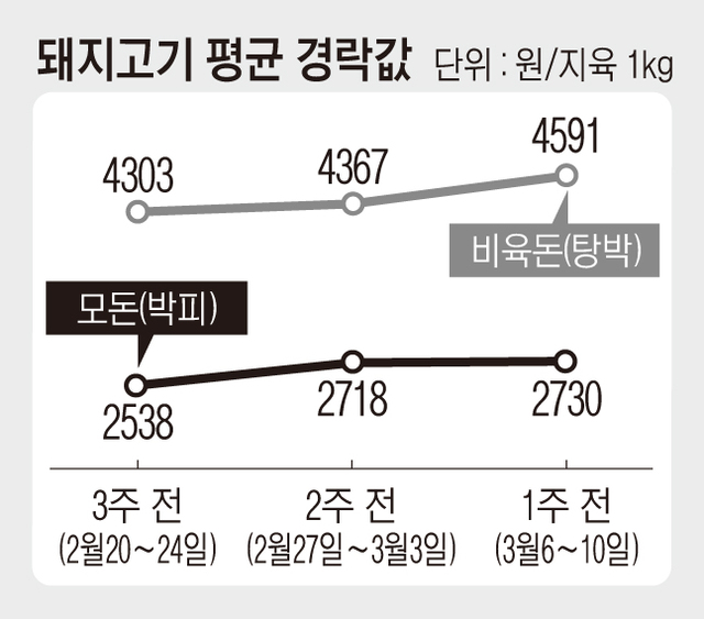 축산물 출하정보<돼지>(3월6일~3월10일) 급식 수요증가로 값 소폭 상승