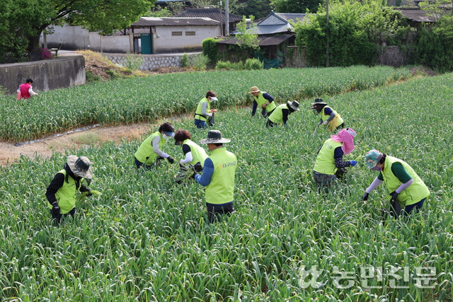 대구농협, 영농지원 발대…일손돕기 본격화