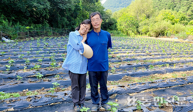[제 40회 영농수기 가작] 한알의 씨앗이라도