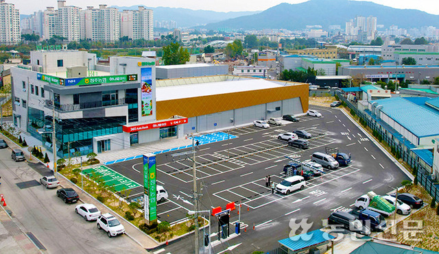 종합경제사업장 문 활짝…황금열쇠 주인공 찾아라