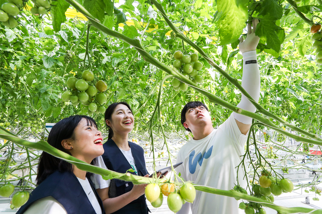 미래 스마트 농업 인재 키우는 스마트팜 혁신밸리