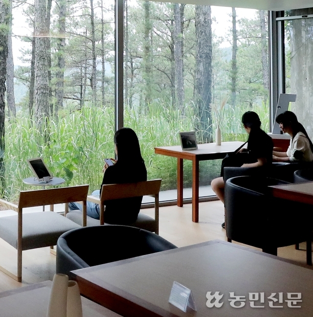 만원의 행복 ‘시티투어버스’···역사·문화·자연여행 한번에