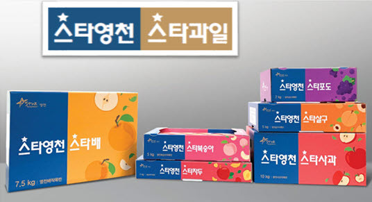 경북 영천, 과일 통합 브랜드 ‘스타영천 스타과일’ 포장재 지원 확대