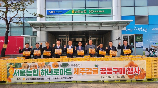 신선한 제주감귤 사고 싶다면 서울 14곳 하나로마트 방문하세요