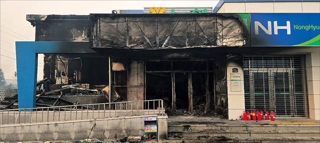 [역대 최악 산불] 안동·영덕지역 농협, 인적·물적 피해 커