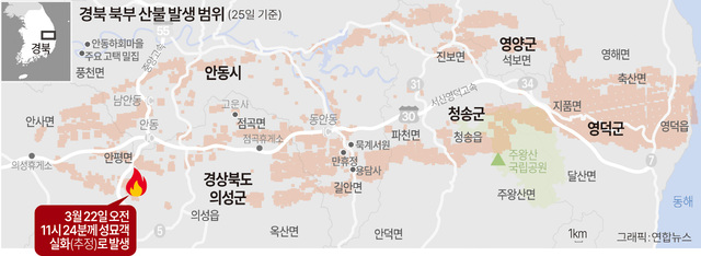 [역대 최악 산불] 장비·인력 부족…초기진화 골든타임 놓쳐