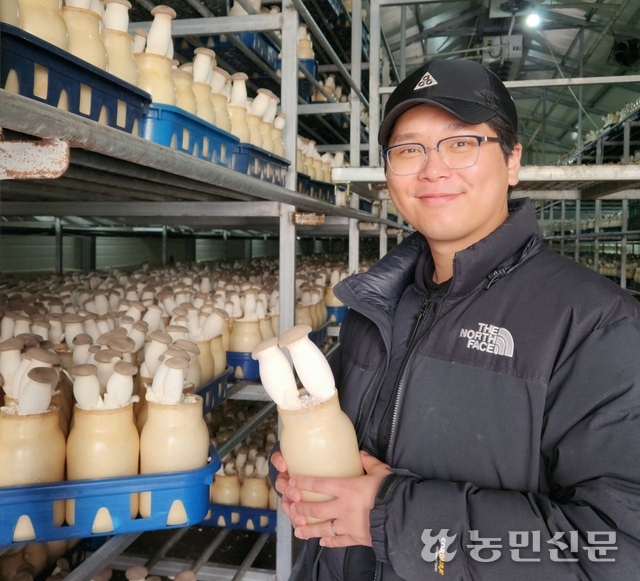 [청년농이 뛴다] 새송이와 동고동락…새 재배기술 찾고 수출길 ‘활짝’