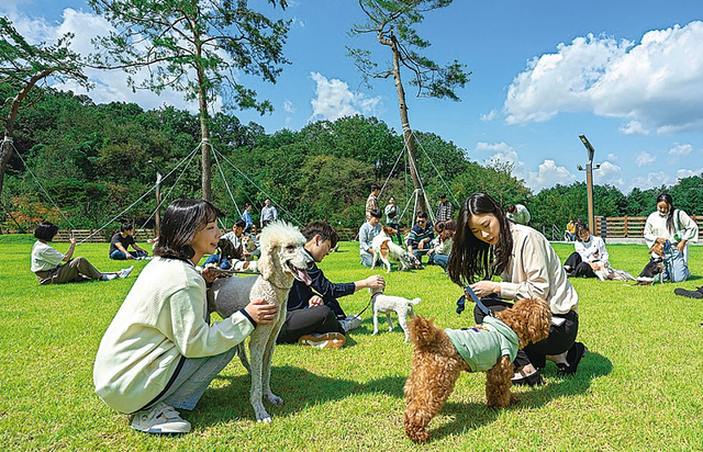 댕냥이와 드넓은 잔디밭서 뛰놀고, 여름엔 해수욕도 즐기고