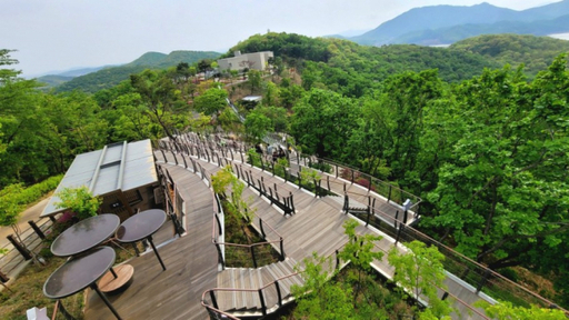 김포 DMZ 평화의길 주노선 개방 앞두고 3개 코스 조성 주목