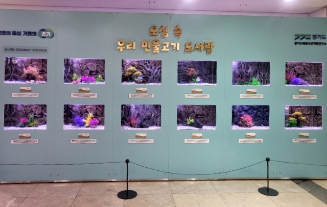 쉬리·버들치 등 토종 희귀 민물고기 포천 중앙도서관에서 만난다