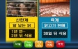 [사실은] 산란계도 유통…살충제 뿌린 닭고기 괜찮을까?