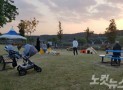 잇딴 개물림 사고…대안으로 떠오른 반려견 놀이터