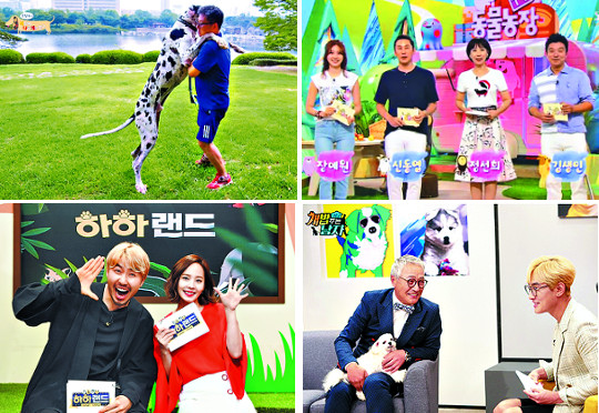 개·고양이 “우리 방송분량 엄청 늘었어요”
