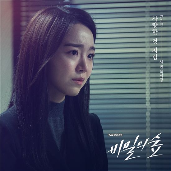 마이틴 시헌, '비밀의 숲' OST 일곱 번째 주자 발탁