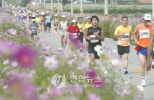 노란 수영복에 섹시한 몸매 어필하는 존예 처자