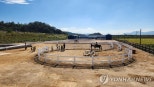 노란 수영복에 섹시한 몸매 어필하는 존예 처자