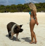 노란 수영복에 섹시한 몸매 어필하는 존예 처자