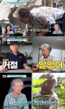 Jubu Jin’s Rural Journey in ‘Perfect Life’: Balancing Love and Lifestyle