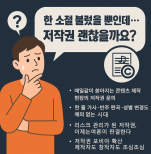 Navigating Copyright Challenges in the Content Industry