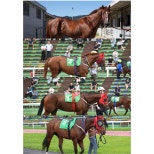 노란 수영복에 섹시한 몸매 어필하는 존예 처자