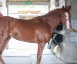 노란 수영복에 섹시한 몸매 어필하는 존예 처자