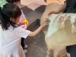 노란 수영복에 섹시한 몸매 어필하는 존예 처자