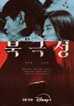 North Star: A Gripping Spy Melodrama on Disney+