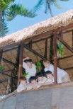 NCT Wish Releases ‘Surf’: A Summer Anthem for Fans