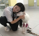 노란 수영복에 섹시한 몸매 어필하는 존예 처자