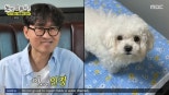 Ha Ha Launches ‘Insa-mo’ on MBC’s ‘How Do You Play?’