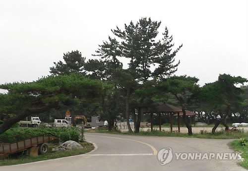 해뜨는마을