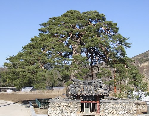나진파크뷰 아파트 경북 울진군 실거래가 시세 2.7억