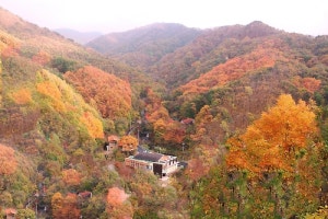 민지산자연휴양림