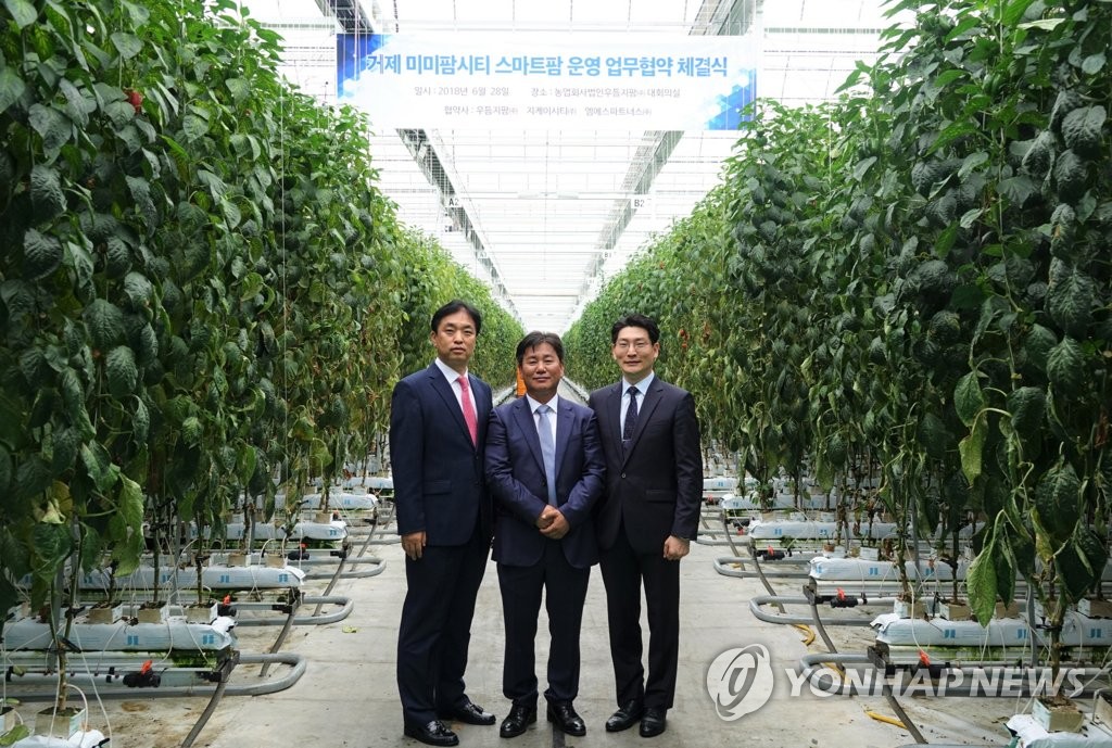 우듬지팜(403490) 관련 이미지 5